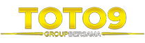 LOGO TOTO9